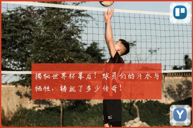 揭秘世界杯幕后！球员们的汗水与牺牲，铸就了多少传奇！