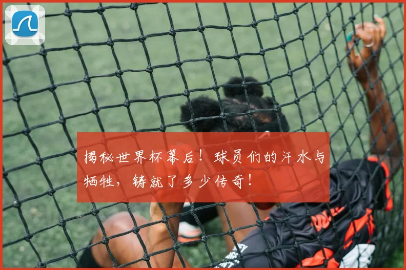 揭秘世界杯幕后!球员们的汗水与牺牲,铸就了多少传奇!